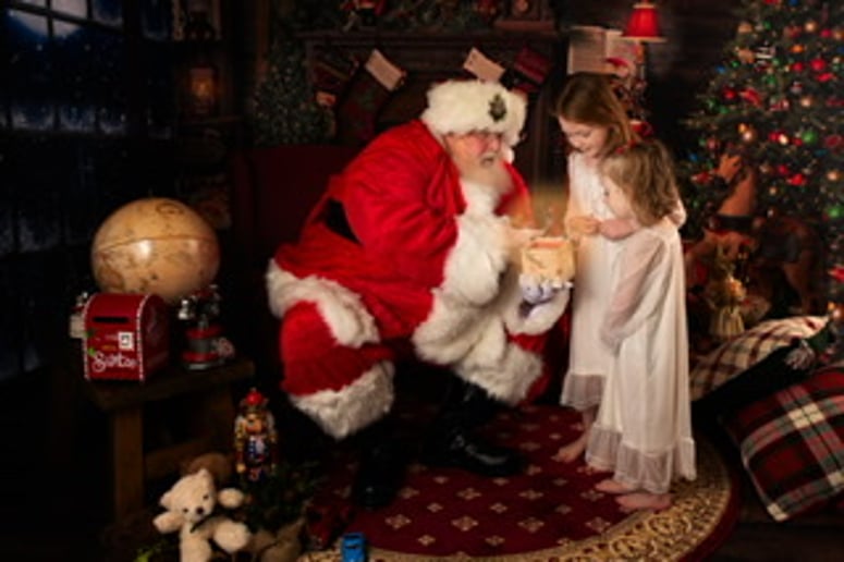 Gallery photo 7 of Santa Wildy