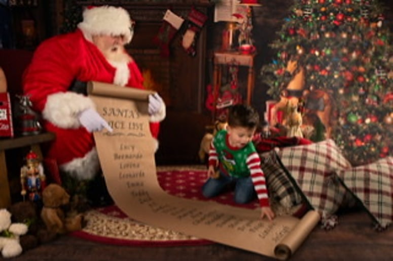 Gallery photo 8 of Santa Wildy