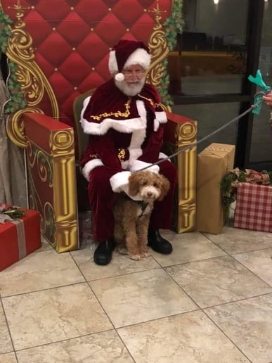 Gallery photo 8 of SantaPops