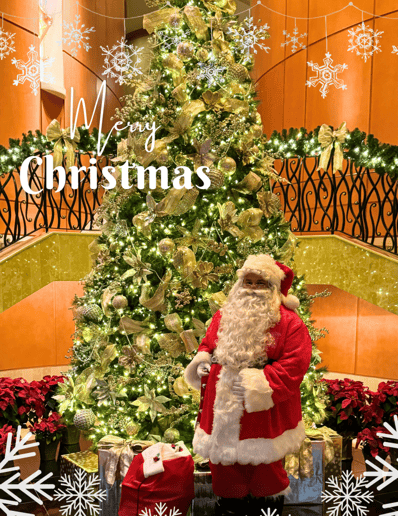 Gallery photo 3 of Santa's Helper Scott