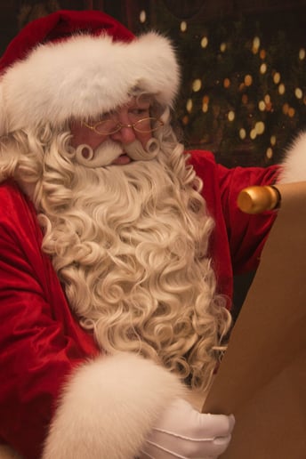 Gallery photo 5 of Santa's Helper Services