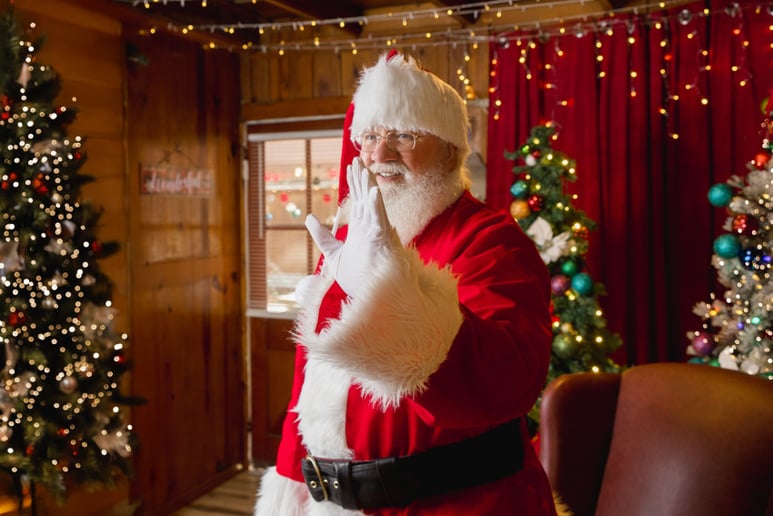 Gallery photo 4 of Santa's Helper Tom