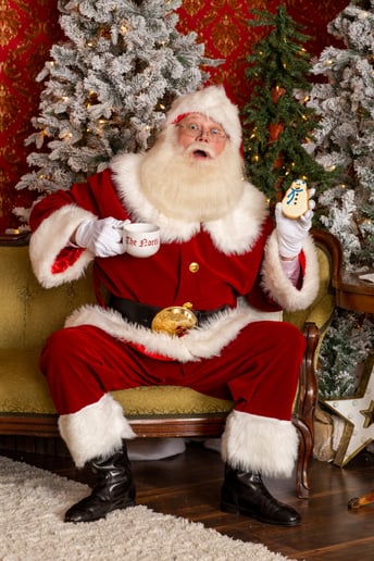 Gallery photo 4 of Santa Patrick Michigan