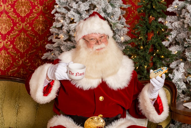 Gallery photo 5 of Santa Patrick Michigan