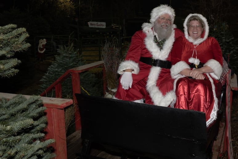 Gallery photo 6 of Santa Sean Black