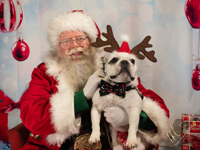 Gallery photo 3 of Santa Sean Black
