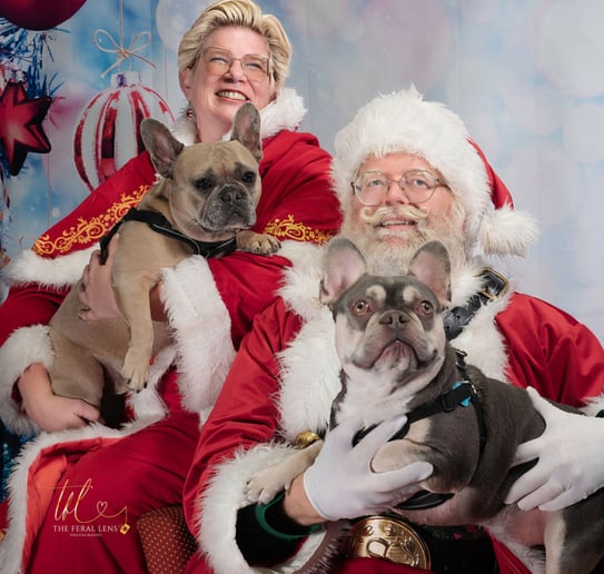Gallery photo 5 of Santa Sean Black