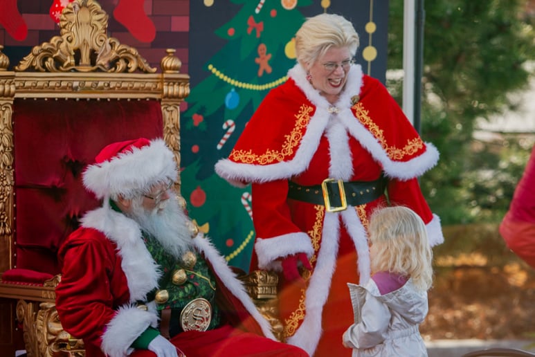 Gallery photo 8 of Santa Sean Black
