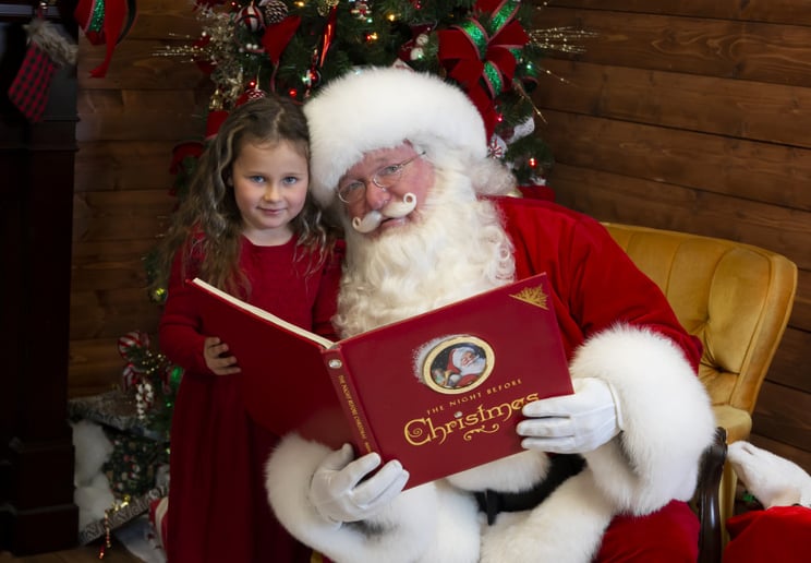Gallery photo 3 of Santas Helper Services