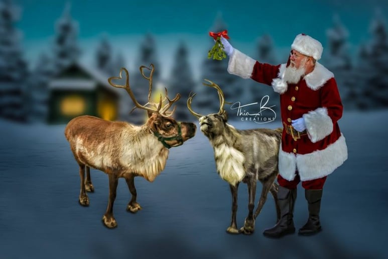 Gallery photo 3 of Santa's Magical Visit