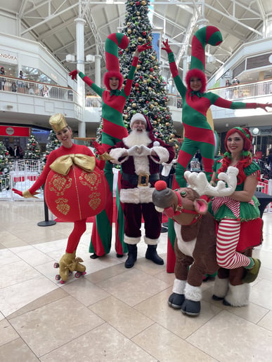 Gallery photo 8 of SantaTony
