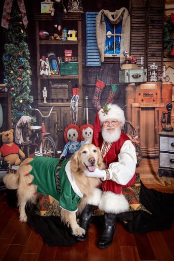 Gallery photo 24 of SantaWNC aka Santa Joe!