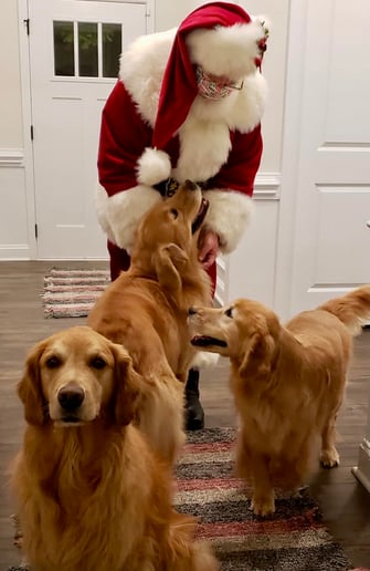 Gallery photo 27 of SantaWNC aka Santa Joe!