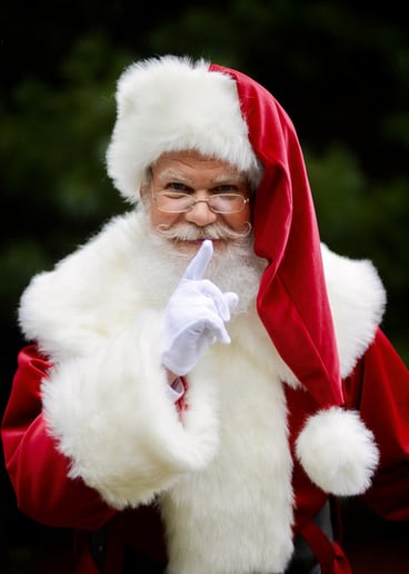 Gallery photo 1 of SantaWNC aka Santa Joe!