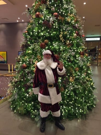 Gallery photo 4 of SantE Claus