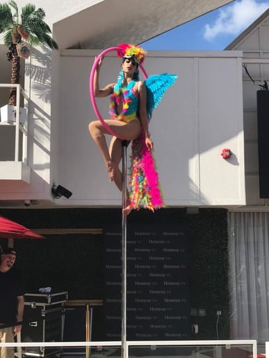 Gallery photo 56 of Sanya Ismail - Aerialist