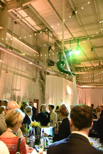 Gallery photo 7 of Sanya Ismail - Aerialist