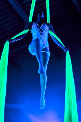 Gallery photo 6 of Sanya Ismail - Aerialist
