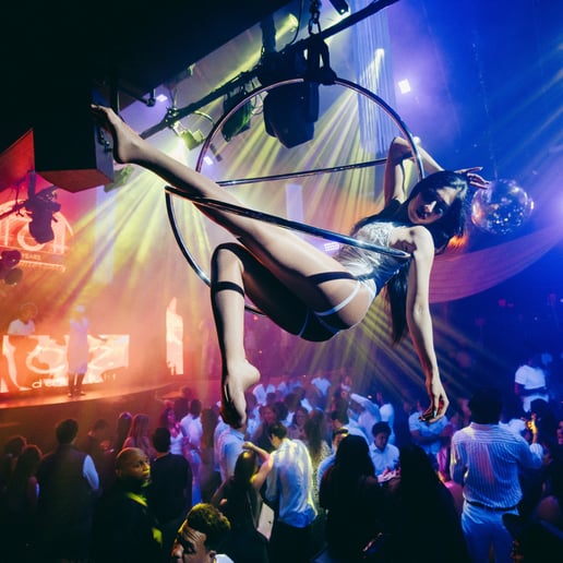 Gallery photo 27 of Sanya Ismail - Aerialist