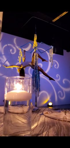 Gallery photo 41 of Sanya Ismail - Aerialist