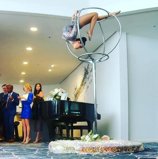 Gallery photo 22 of Sanya Ismail - Aerialist