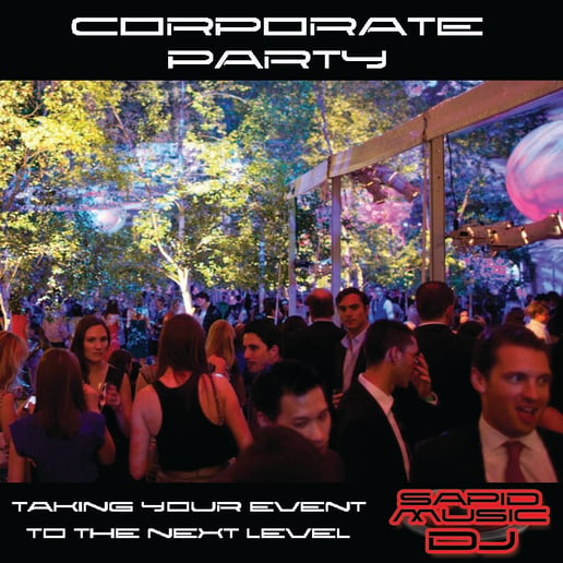 Gallery photo 4 of Sapid Music DJ Services