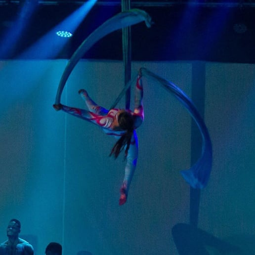 Gallery photo 1 of Sapphire Circus