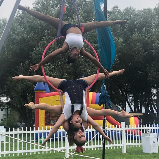 Gallery photo 6 of Sapphire Circus