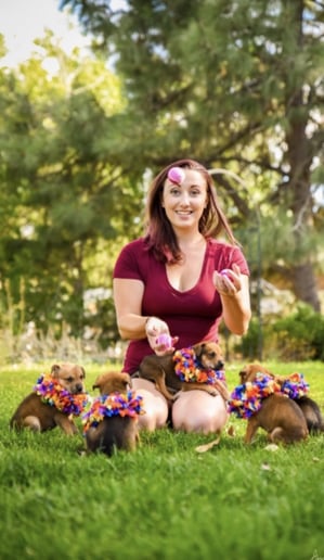 Gallery photo 4 of Sapphire Circus