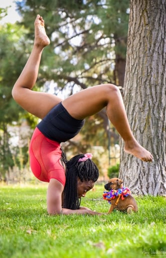 Gallery photo 3 of Sapphire Circus