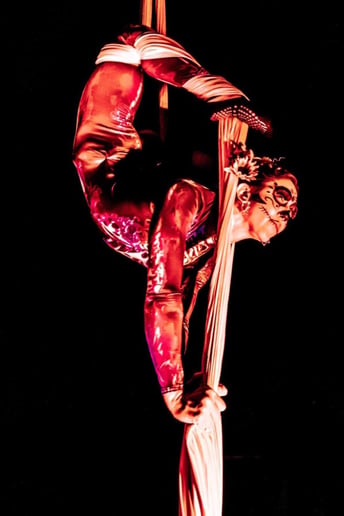 Gallery photo 4 of Sarah “Bliss” Aerialist