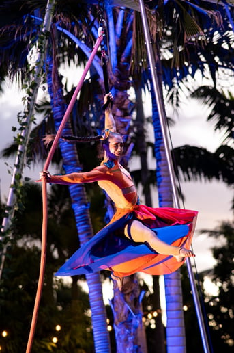 Gallery photo 7 of Sarah “Bliss” Aerialist