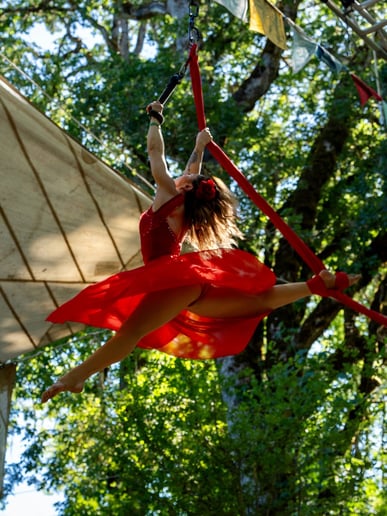 Gallery photo 3 of Sarah “Bliss” Aerialist