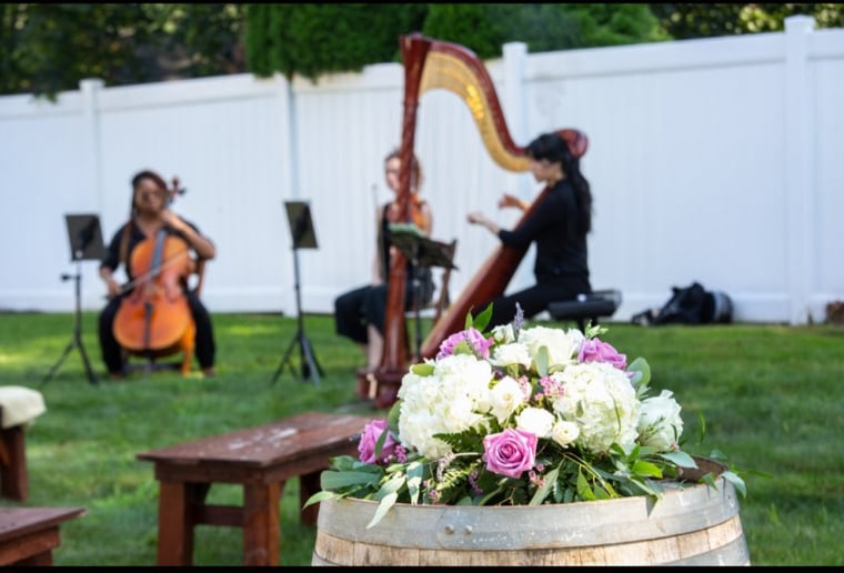 Gallery photo 5 of Sarah Overton - Cellist
