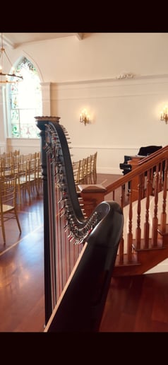 Gallery photo 4 of Sarah Wood Utah Professional Harpist