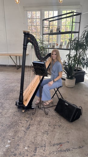Gallery photo 5 of Sarah Wood Utah Professional Harpist
