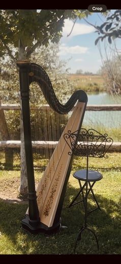 Gallery photo 10 of Sarah Wood Utah Professional Harpist
