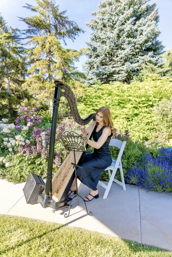 Gallery photo 3 of Sarah Wood Utah Professional Harpist