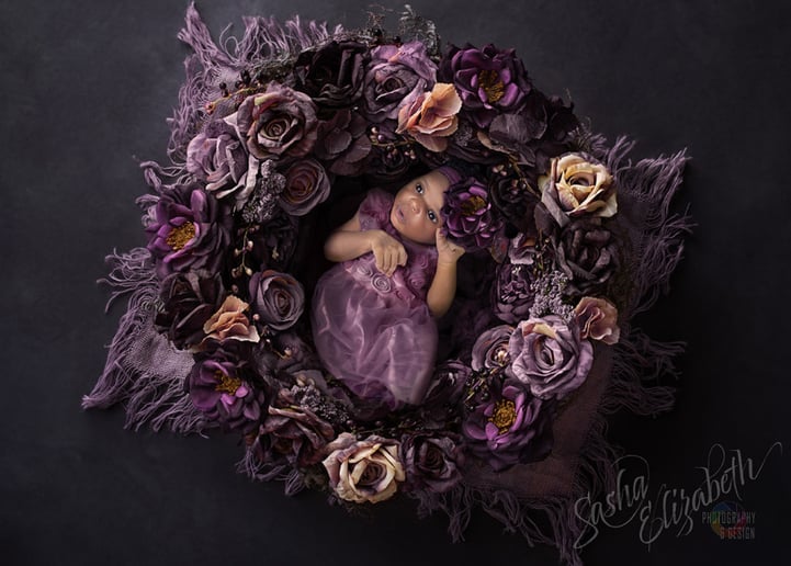 Gallery photo 8 of SaSha Elizabeth Photography