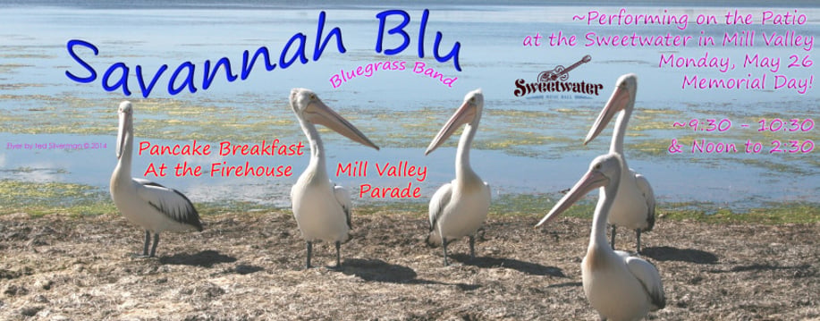 Gallery photo 3 of Savannah BluGrass