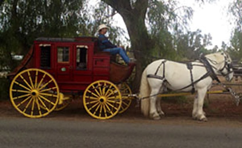 Gallery photo 42 of Savannah Rose Carriages