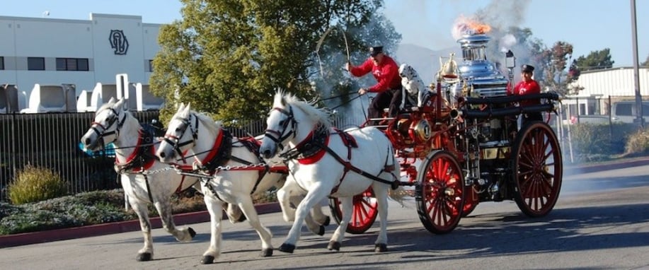 Gallery photo 36 of Savannah Rose Carriages
