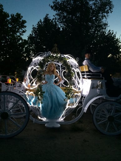 Gallery photo 2 of Savannah Rose Carriages