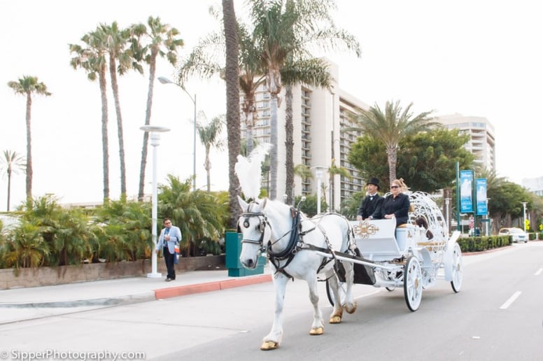 Gallery photo 9 of Savannah Rose Carriages