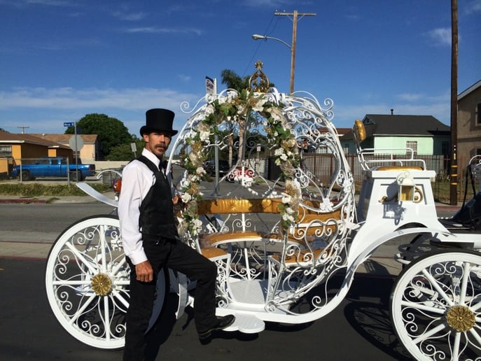 Gallery photo 10 of Savannah Rose Carriages