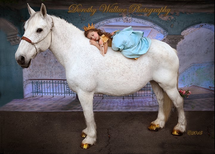 Gallery photo 40 of Savannah Rose Carriages