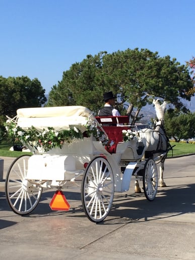 Gallery photo 3 of Savannah Rose Carriages