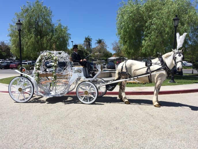 Gallery photo 4 of Savannah Rose Carriages