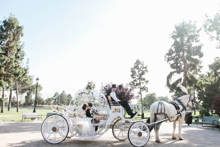 Gallery photo 14 of Savannah Rose Carriages
