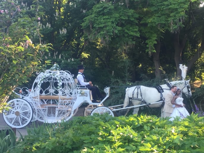 Gallery photo 16 of Savannah Rose Carriages